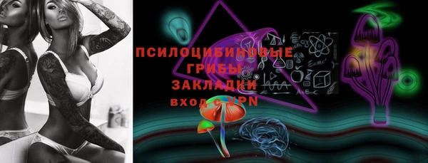 сатива Абаза