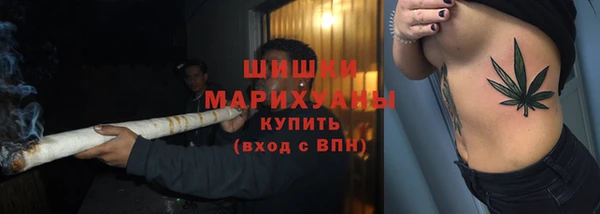 сатива Абаза