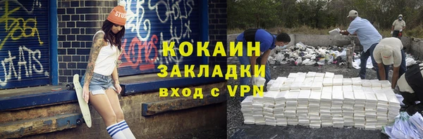 сатива Абаза