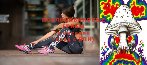 сатива Абдулино