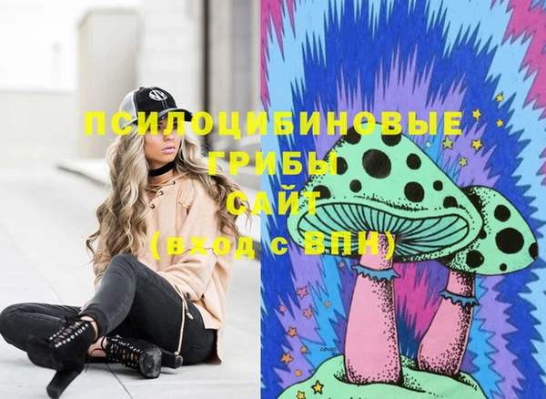 сатива Абдулино