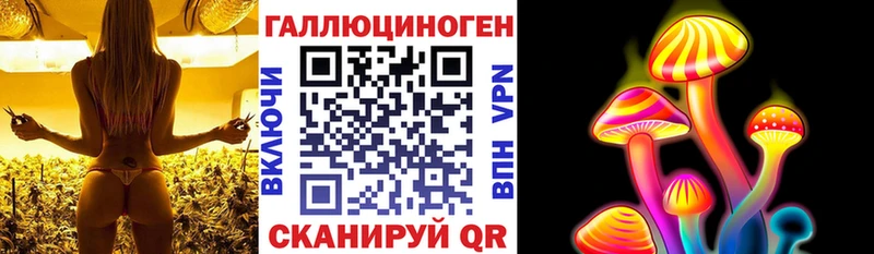 Псилоцибиновые грибы Magic Shrooms  Нижнекамск 