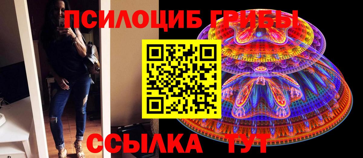 Псилоцибиновые грибы GOLDEN TEACHER Нижнекамск