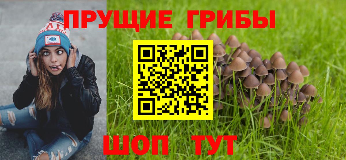 купить закладку  Вход с VPN  Нижнекамск  Галлюциногенные грибы Cubensis 